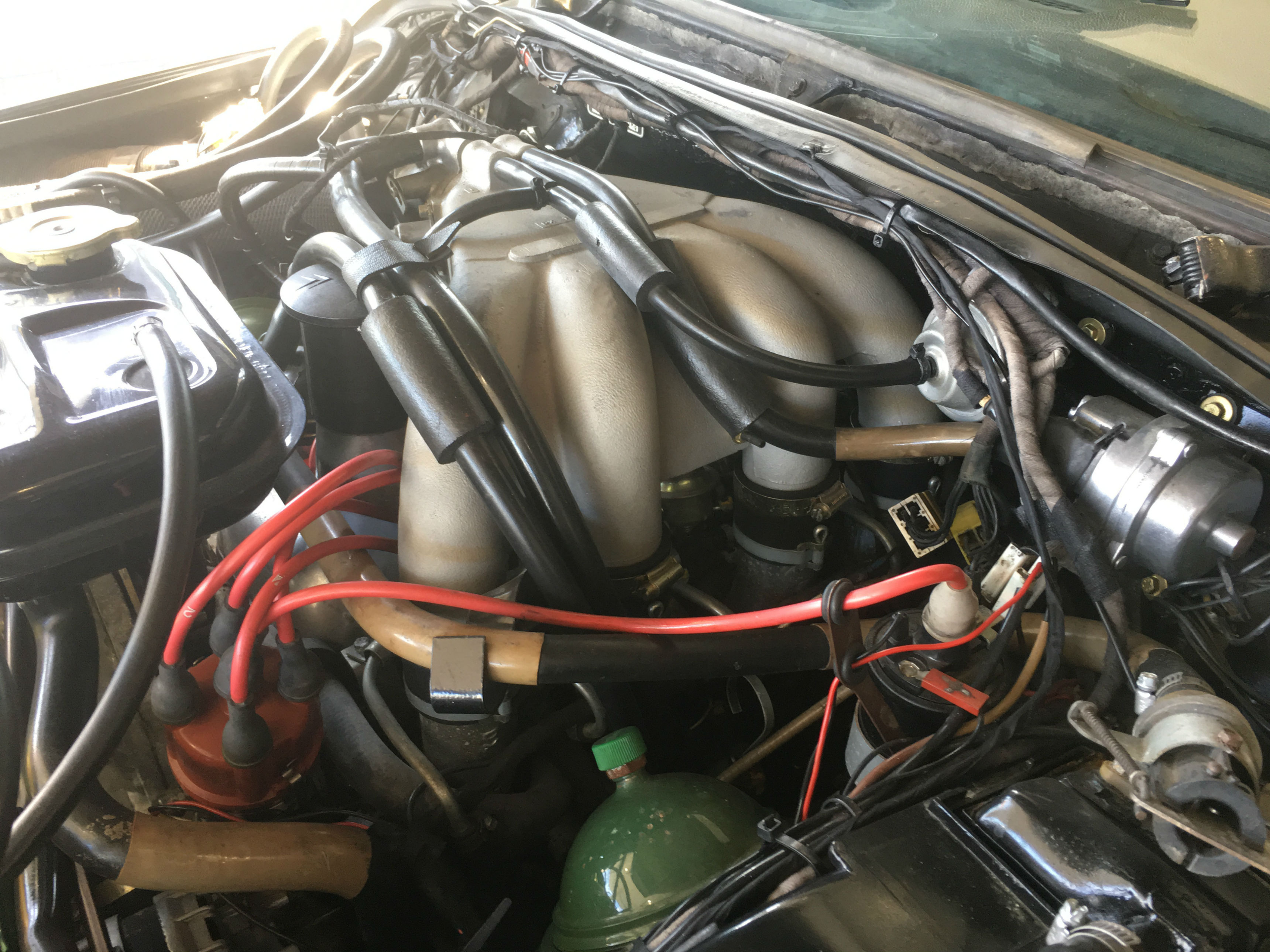 お好きな方には「お年玉」ですね