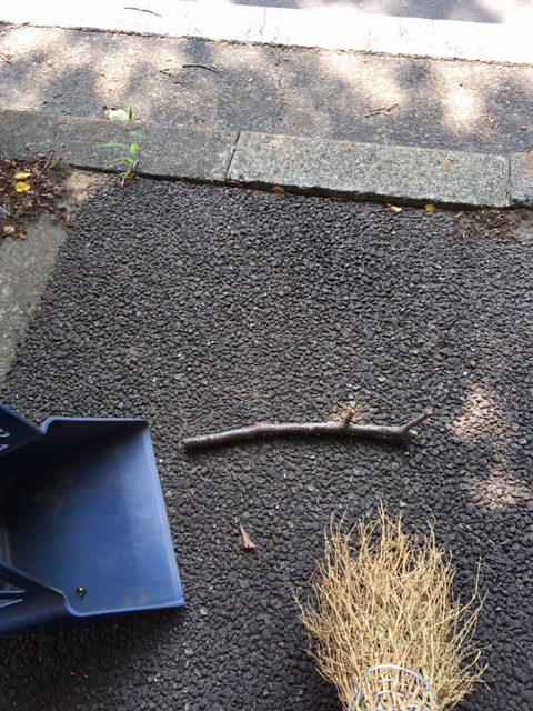 三留のつぶやき