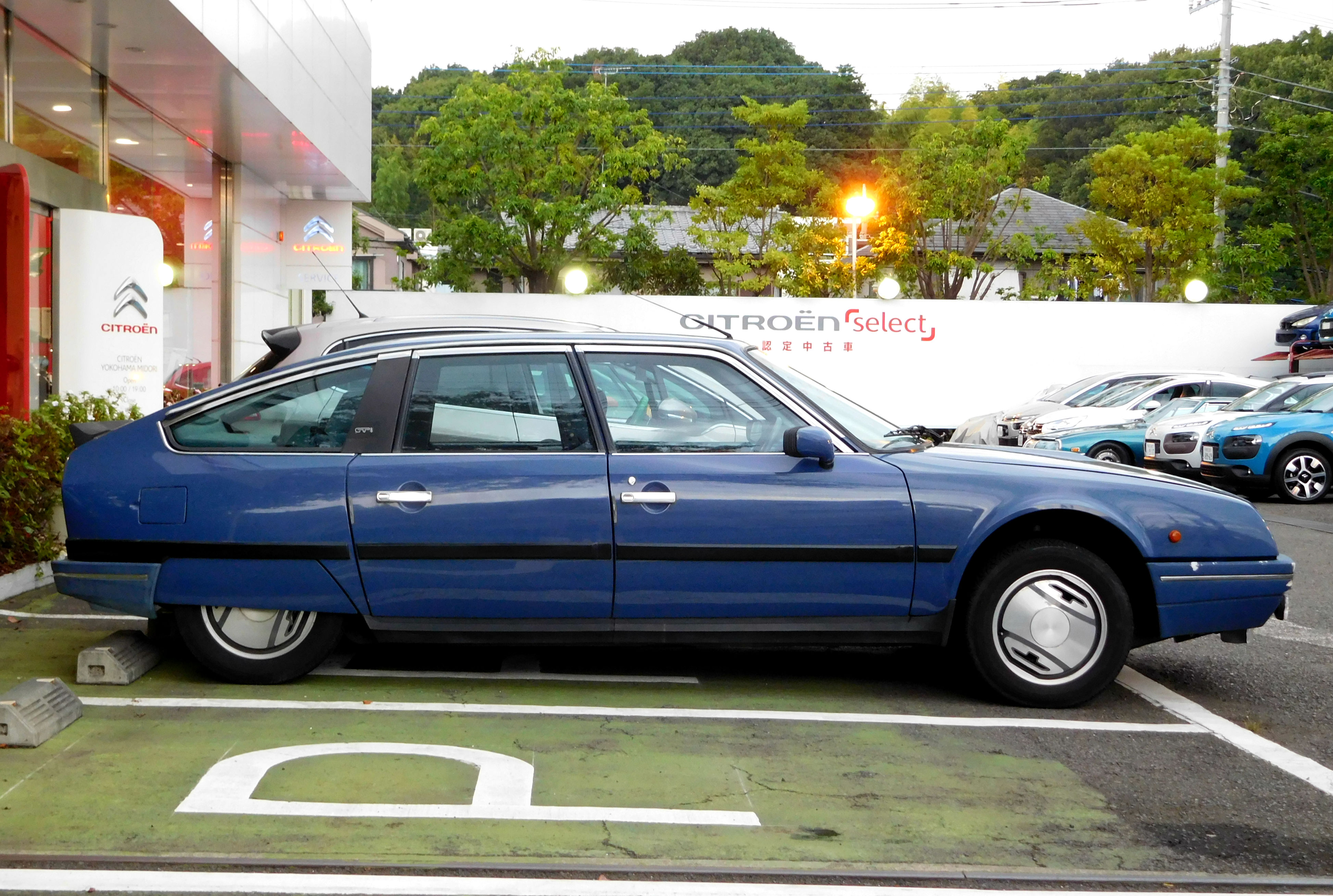 純血シトロエン血統書付