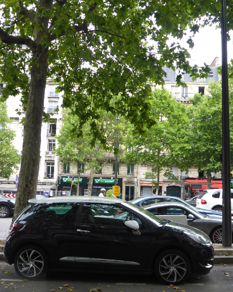 フランス旅行～Part2～