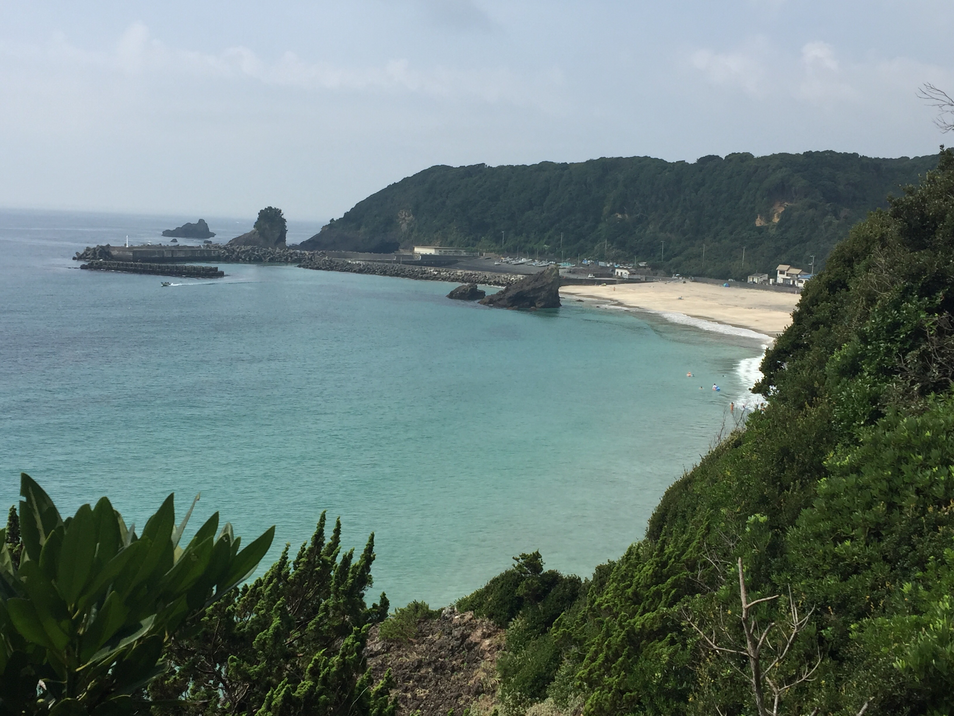 日帰りで下田へ！