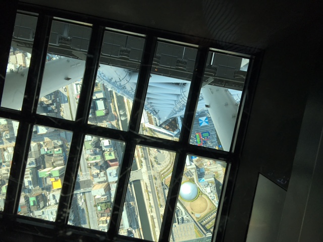 高いところ怖かった。（涙）