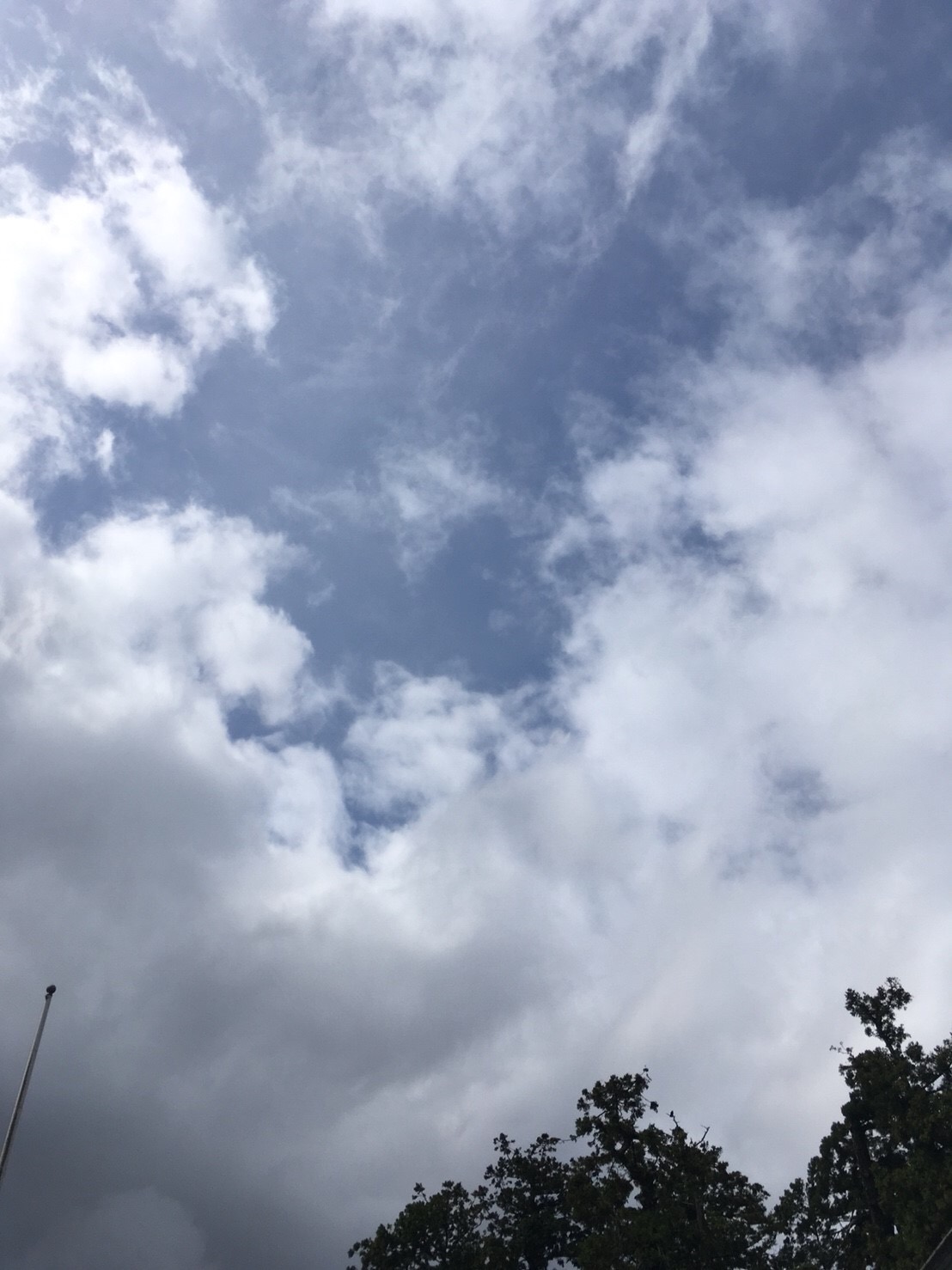 いざ出雲大社へ！