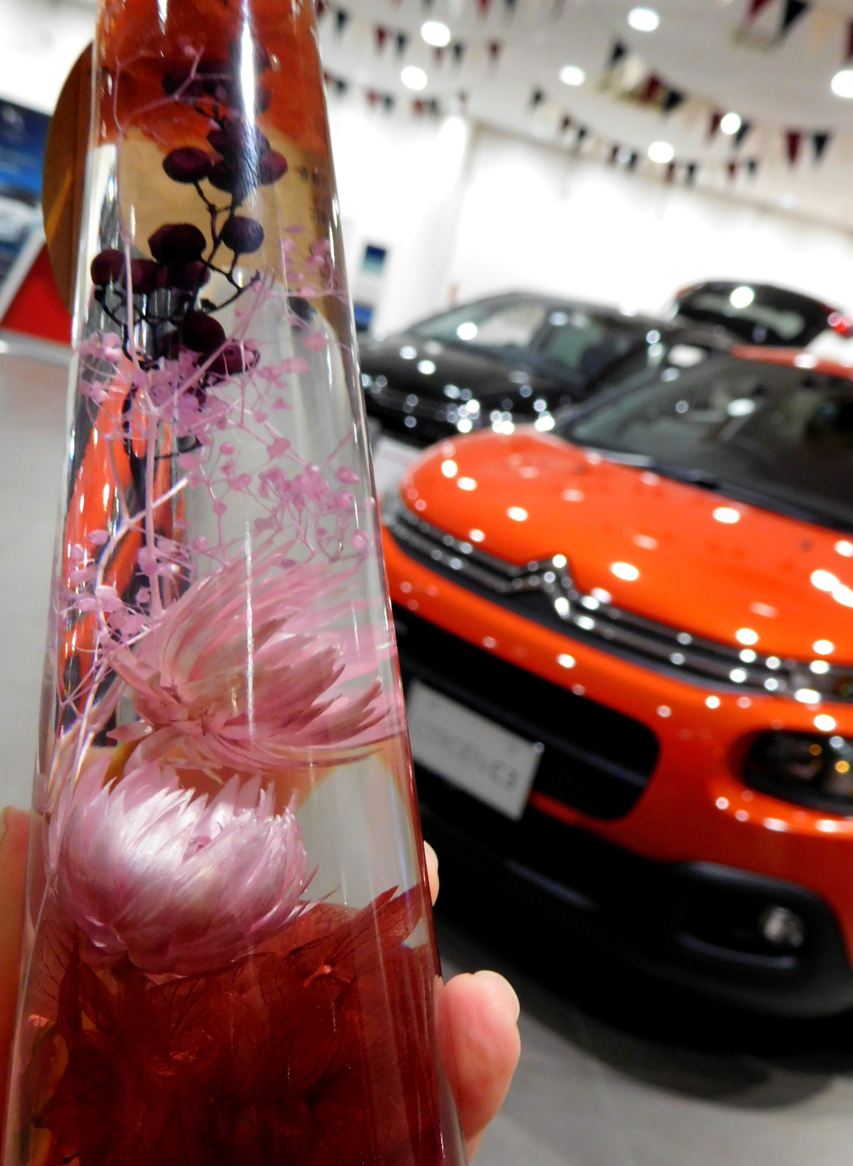 かぼちゃの飾り付け