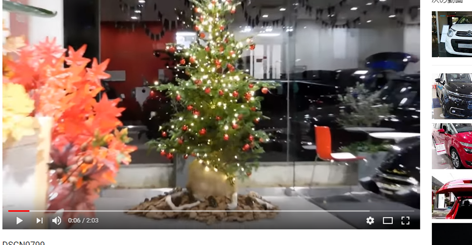 Current Showroom Tour