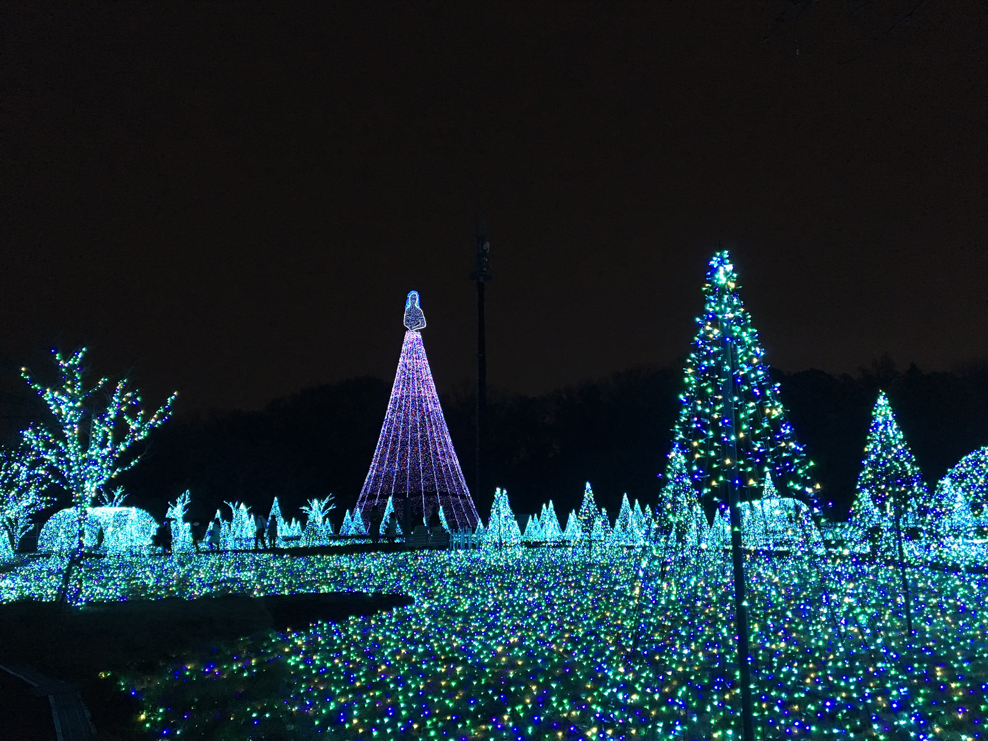 冬はやっぱり・・・