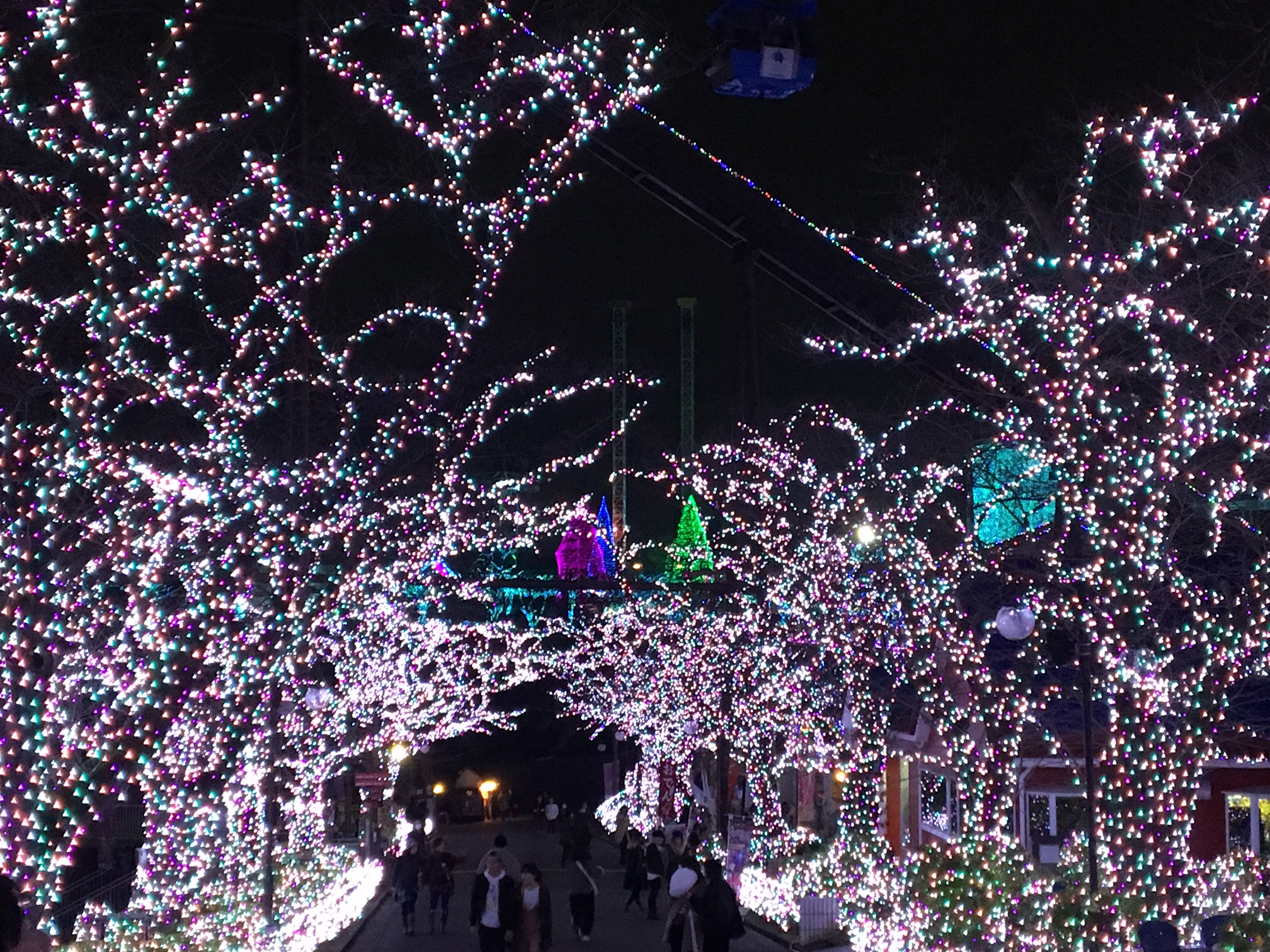 冬はやっぱり・・・