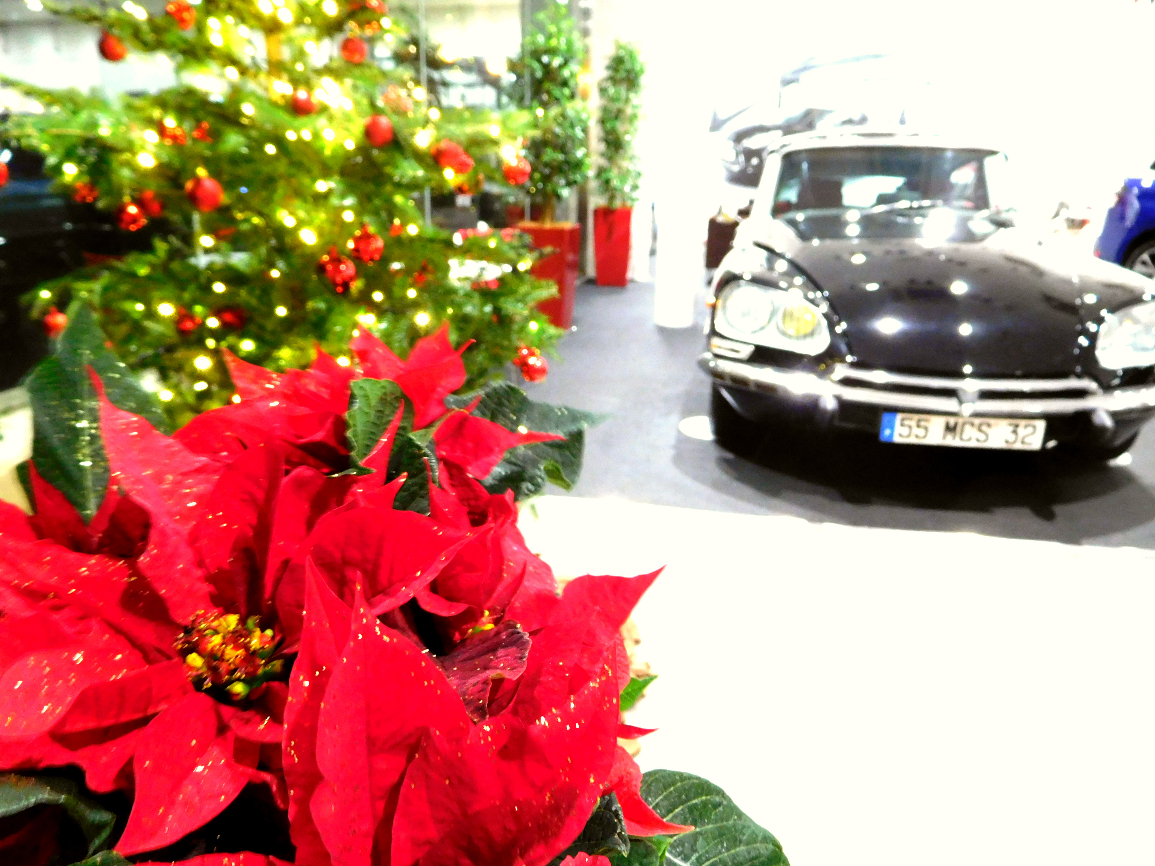 クリスマスまであと9日