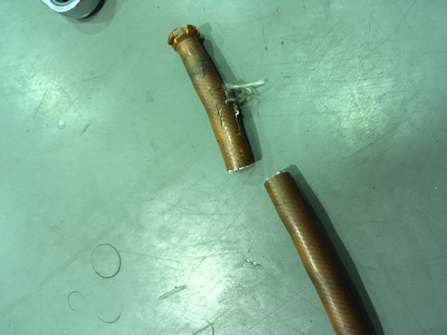 本日の三留くん