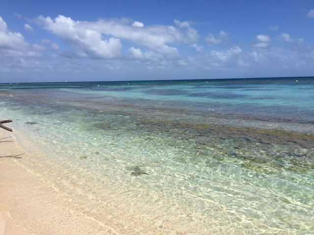 シトロエンジョイントコンテスト！　ニューカレドニア研修へ！