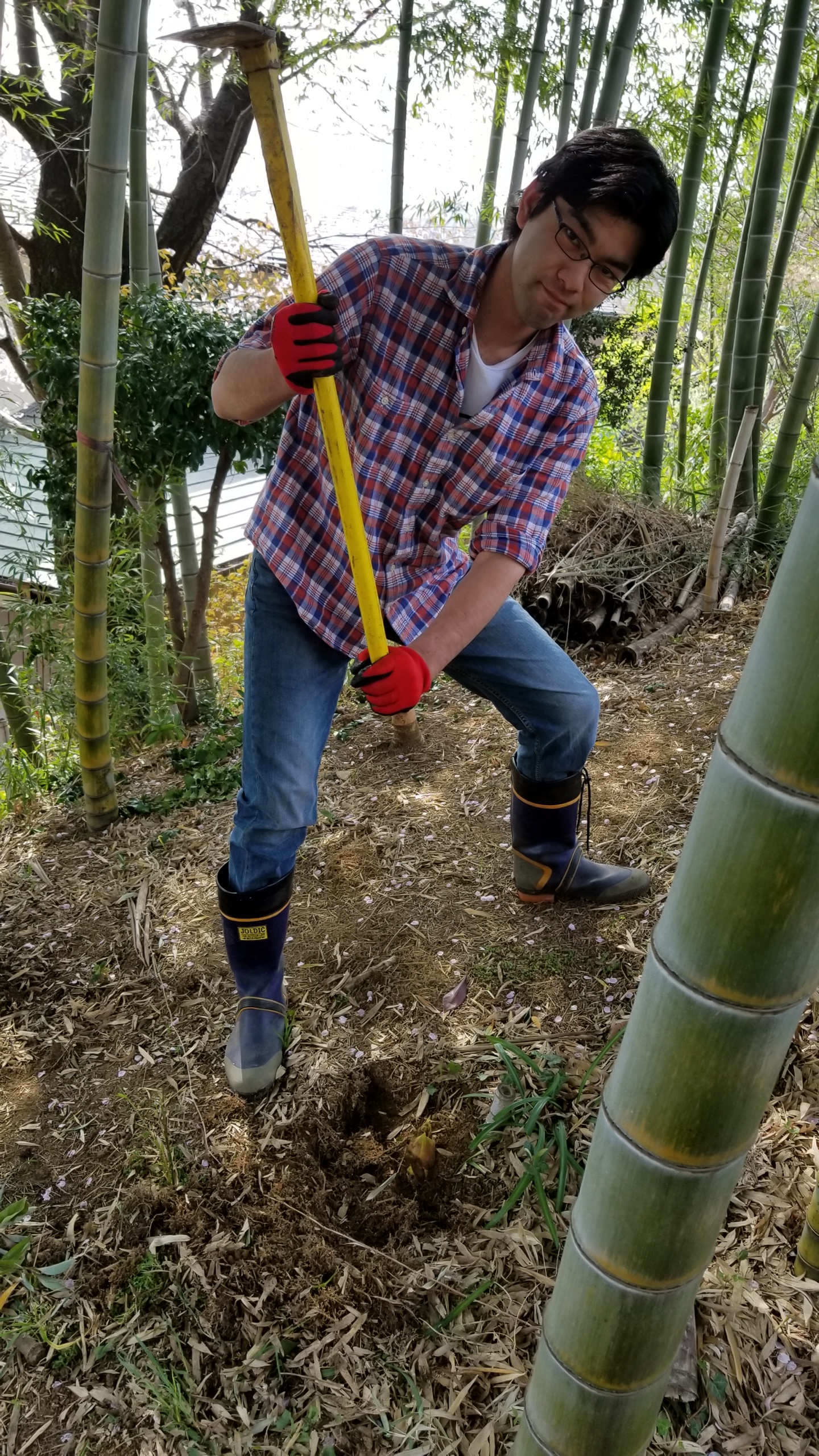 今年初！竹の子掘り