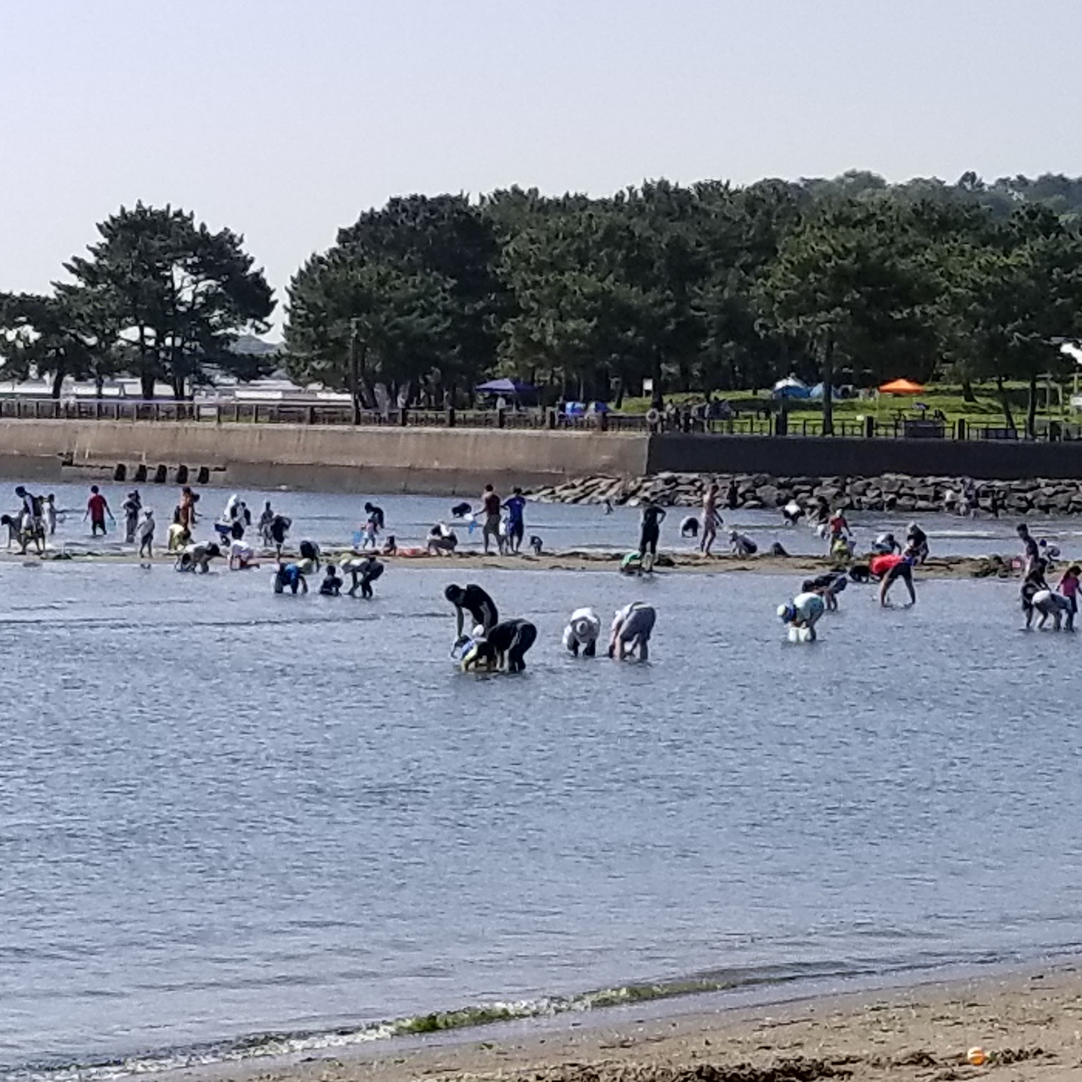 人生初！潮干狩り！！