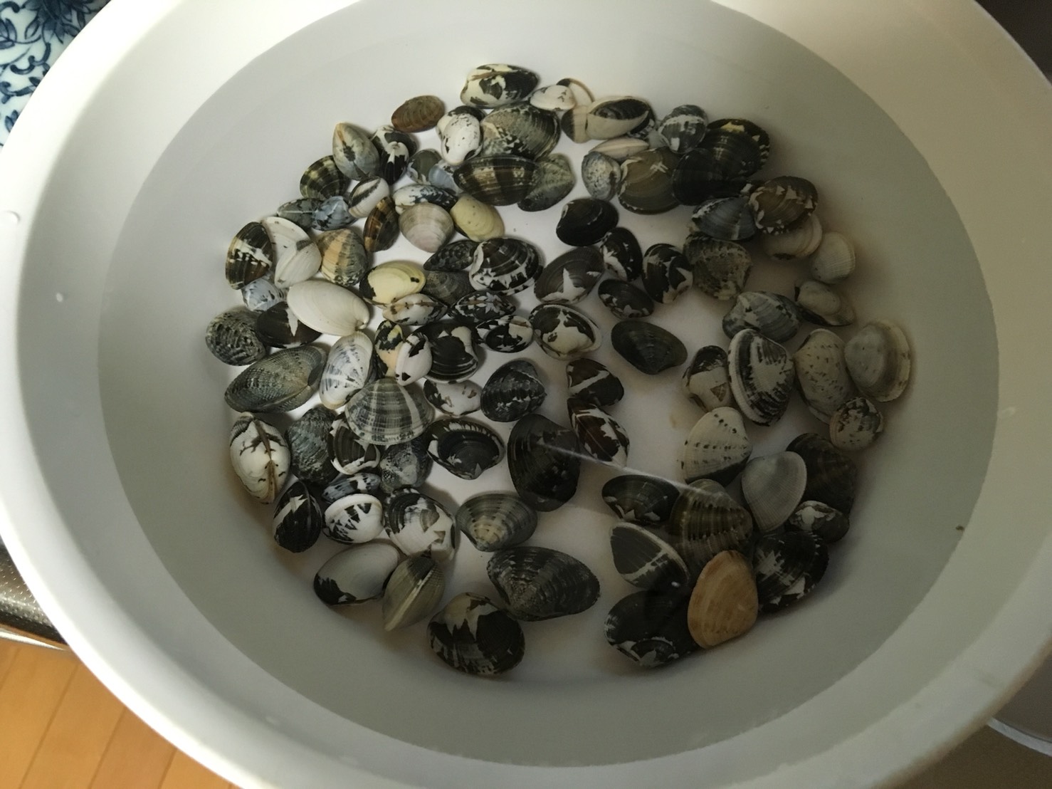 人生初！潮干狩り！！