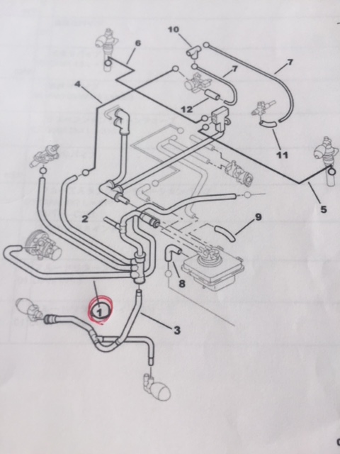 エグザンティア　ＬＨＭリターンホース作成！！