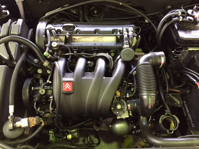 エグザンティア　ＬＨＭリターンホース作成！！