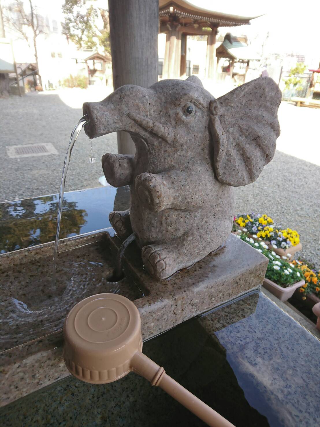 愛くるしい・・・