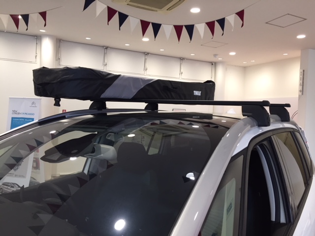 C4 PICASSO でキャンプ！