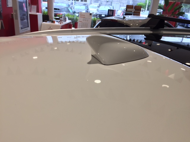 C4 PICASSO でキャンプ！