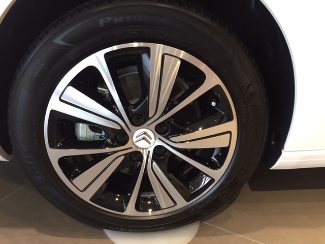 C4 PICASSO でキャンプ！