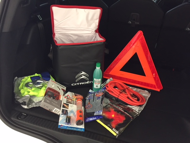 C4 PICASSO でキャンプ！