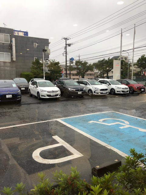 梅雨ですが・・・