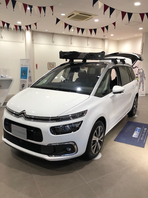 梅雨ですが・・・