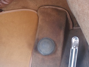 DSが戻ってきました！