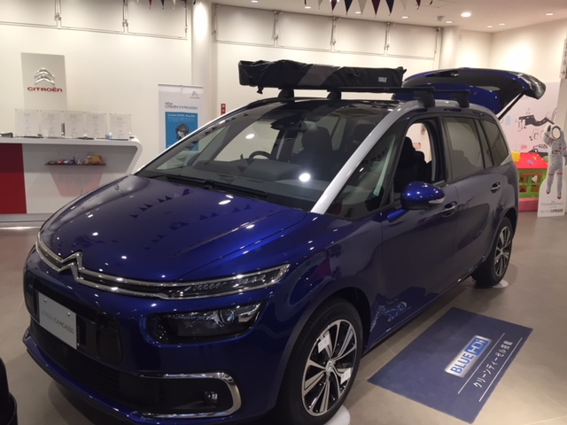 夏のレジャーはPICASSOで決まり ！引き続き展示中です！