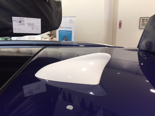 夏のレジャーはPICASSOで決まり ！引き続き展示中です！