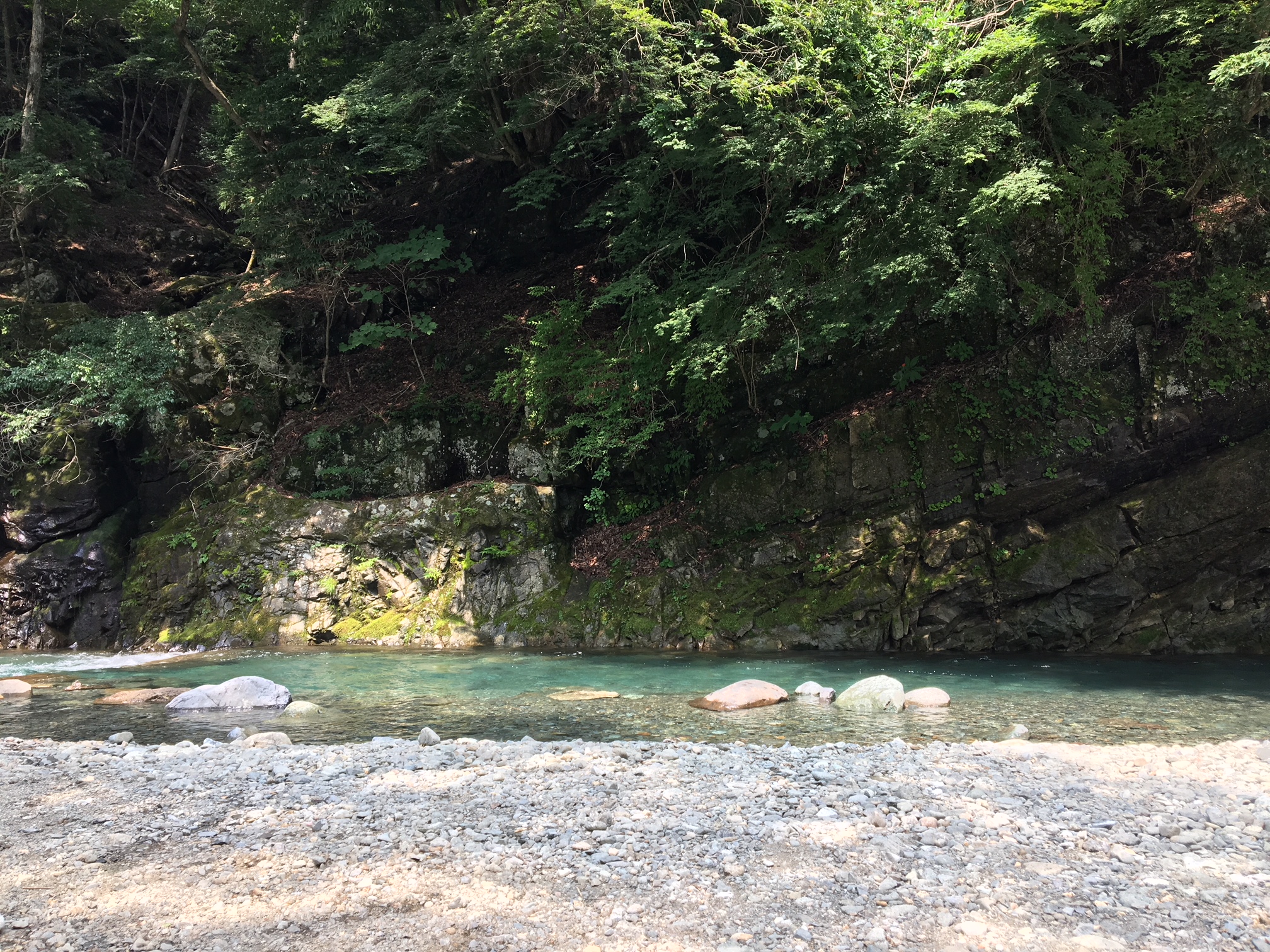 今年もこの時期が・・・