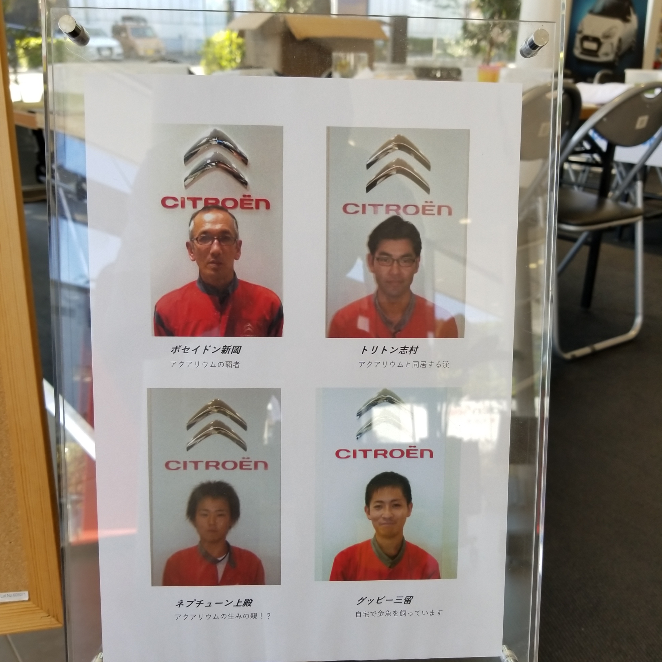 シトロエン横浜緑