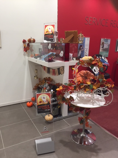 ｳｨﾝﾀｰｱｸｾｻﾘｰ20％OFFｷｬﾝﾍﾟｰﾝ