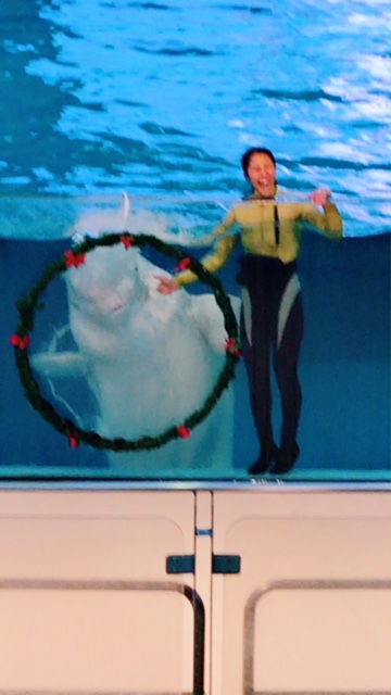 シーパラに行ってきました(^^)