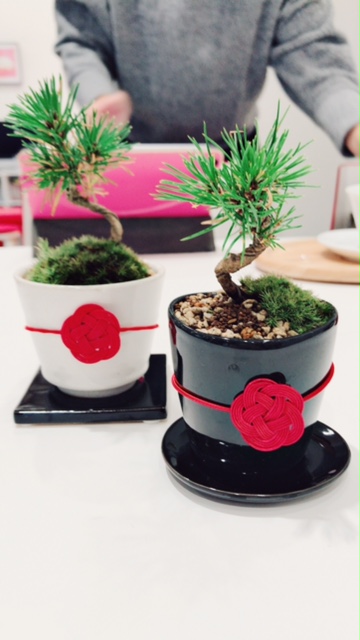 ミニ盆栽