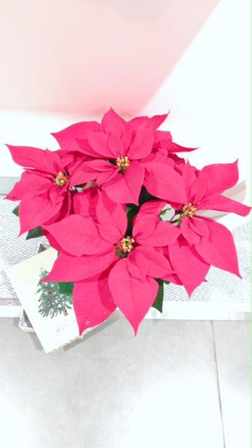 いつもありがとうございます！！