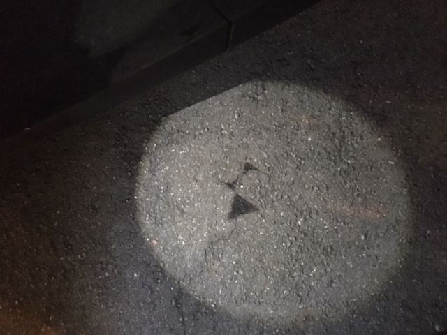 スポットライトにロゴが…