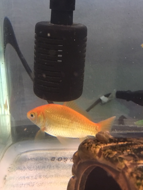 ﾌﾟﾗｲﾍﾞｰﾄ