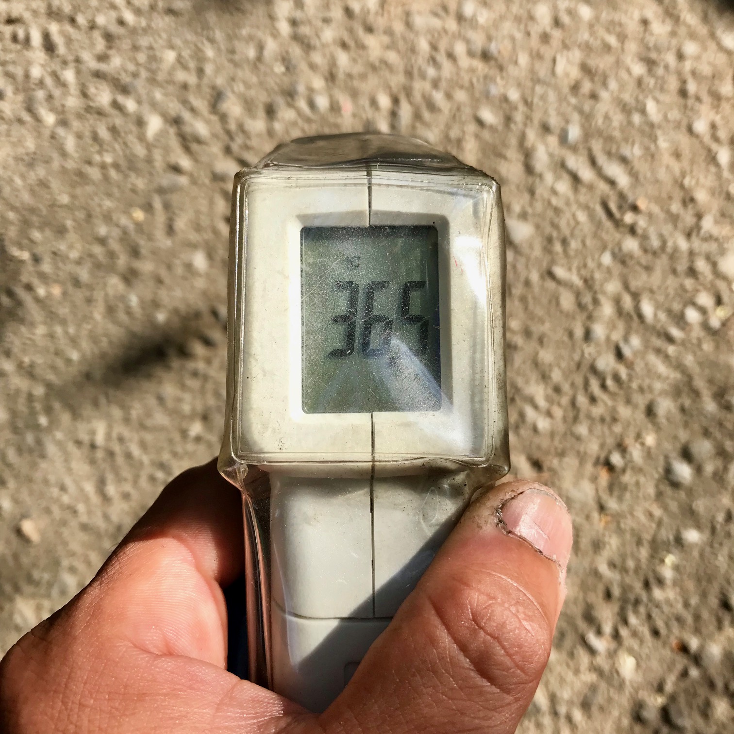 ６月の晴れた日のこと。