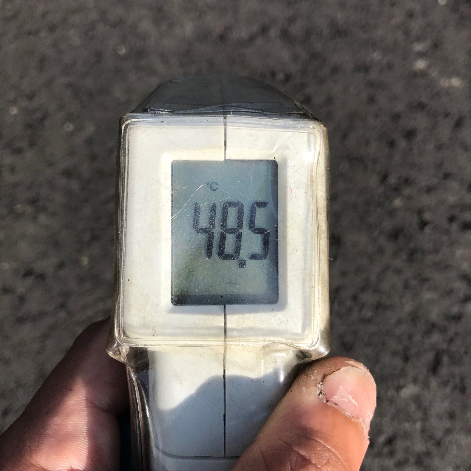 ６月の晴れた日のこと。