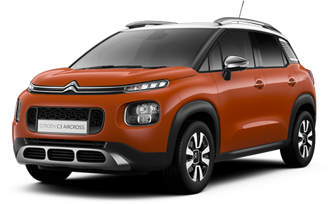 いよいよデビューです。