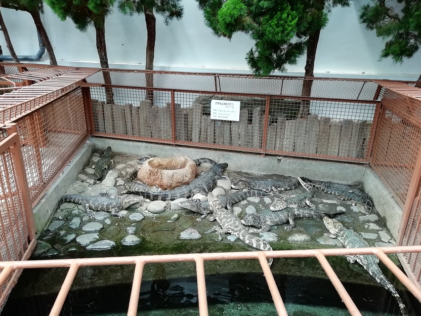 久しぶりの伊豆旅行