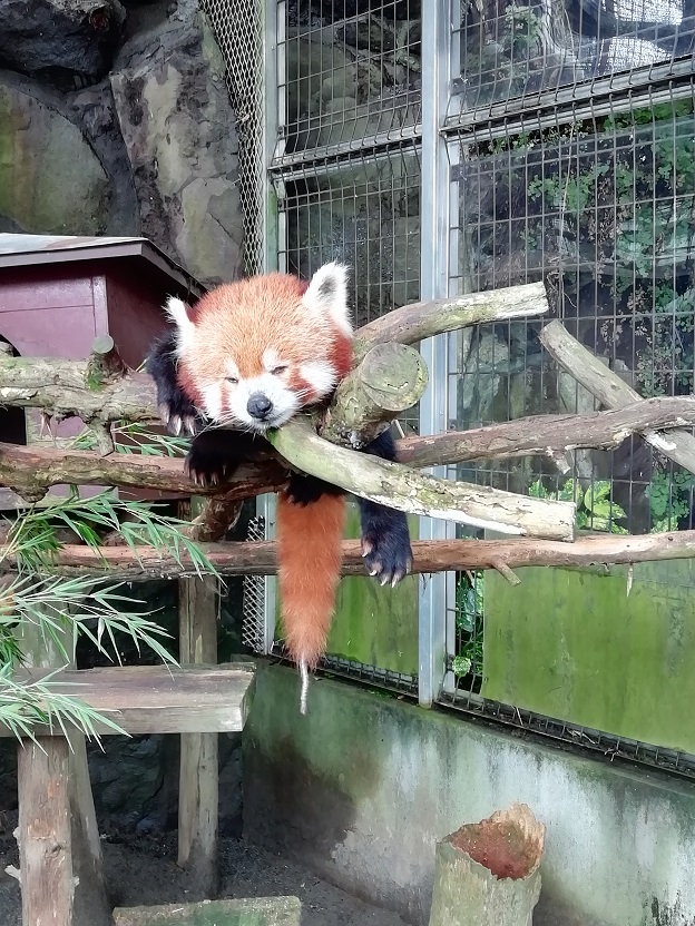 久しぶりの伊豆旅行