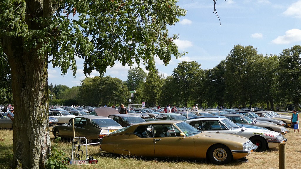 続・100周年だよ全員集合！