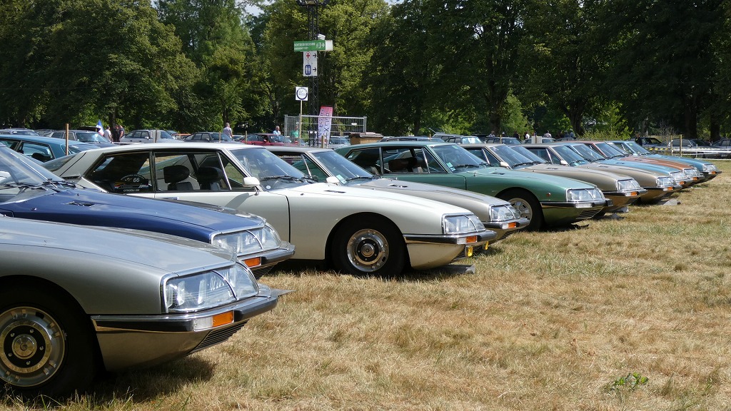 続・100周年だよ全員集合！