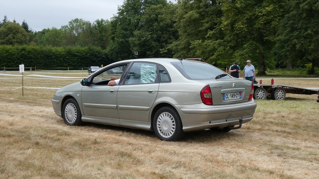 続・100周年だよ全員集合！