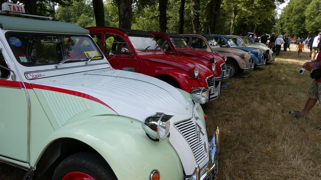 続・100周年だよ全員集合！