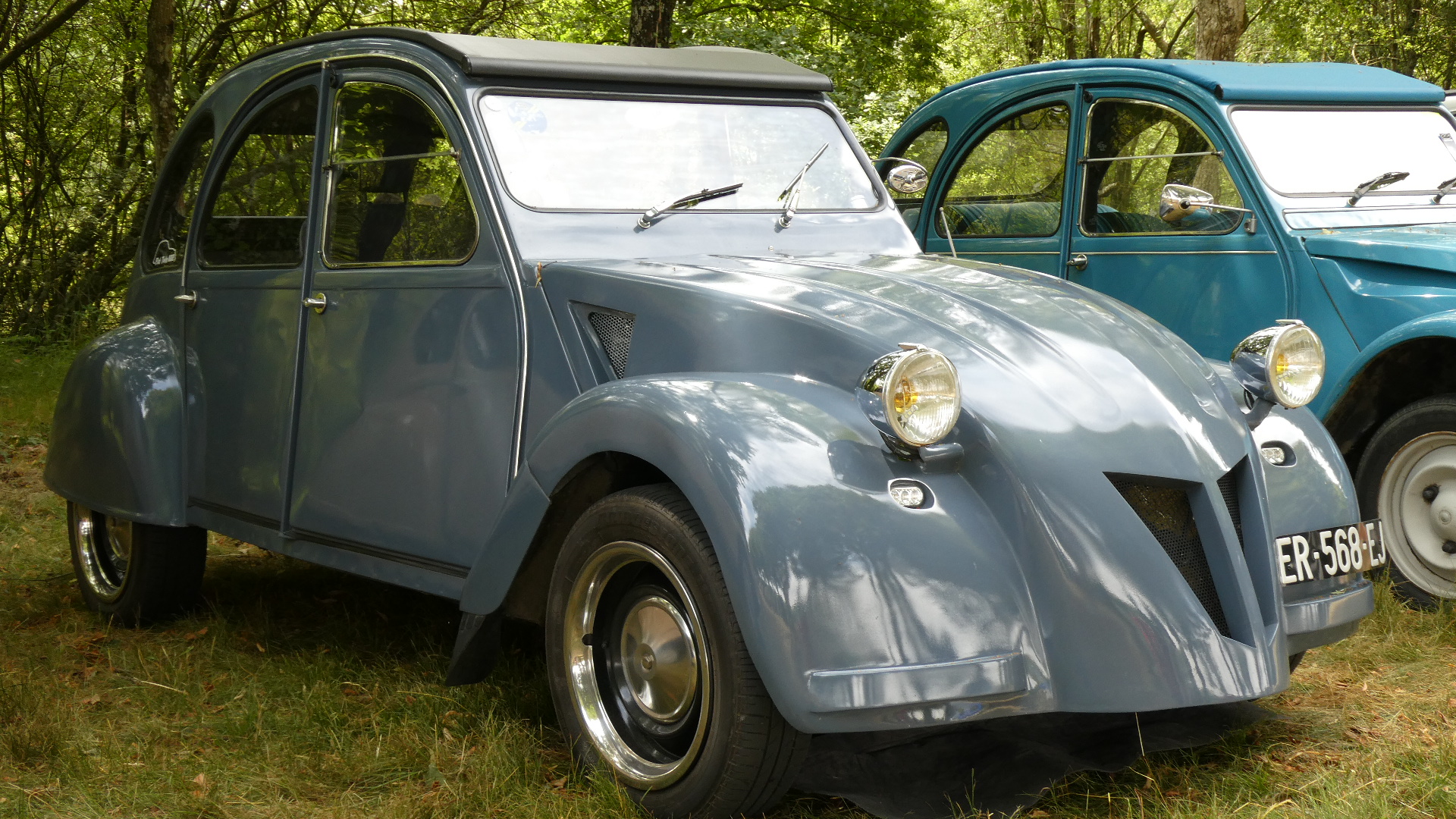 本場の１００周年らしい・・・スゴイですな