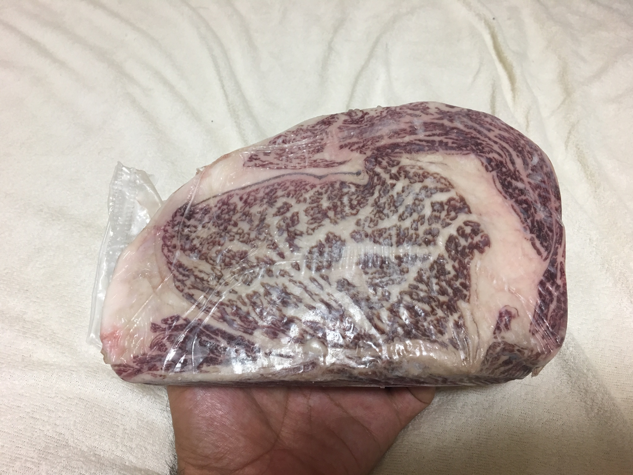 やはり豪快が一番！