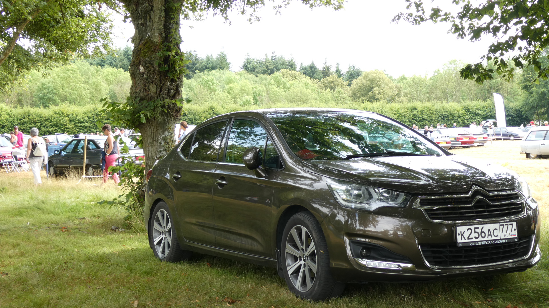 いろんなシとろえん