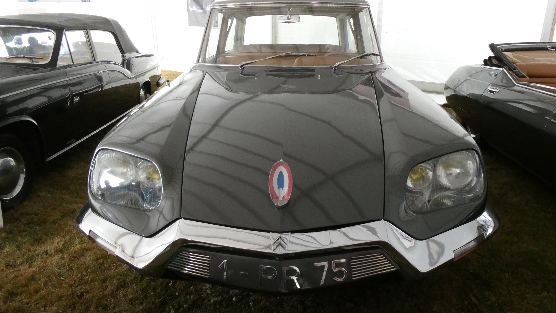 いろんなシとろえん